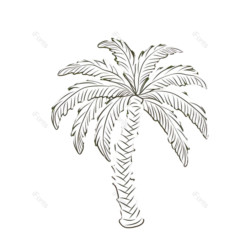 夏天图片,自然元素,森林PNG,椰子树免抠素材